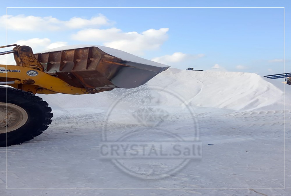 about us image three